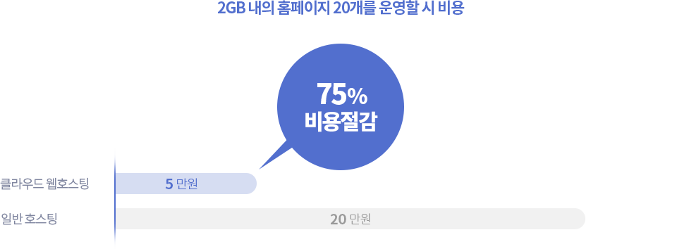 2GB 내의 홈페이지 20개를 운영할 시 비용